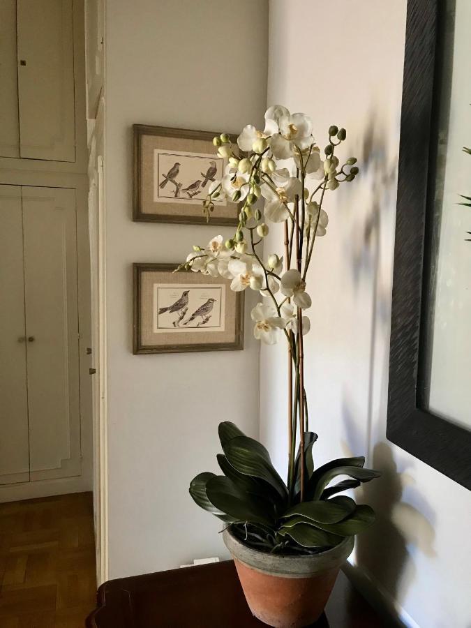Magnifique 2 Pieces De 65M2 -Quartier Des Musiciens Apartamento Nice Exterior foto